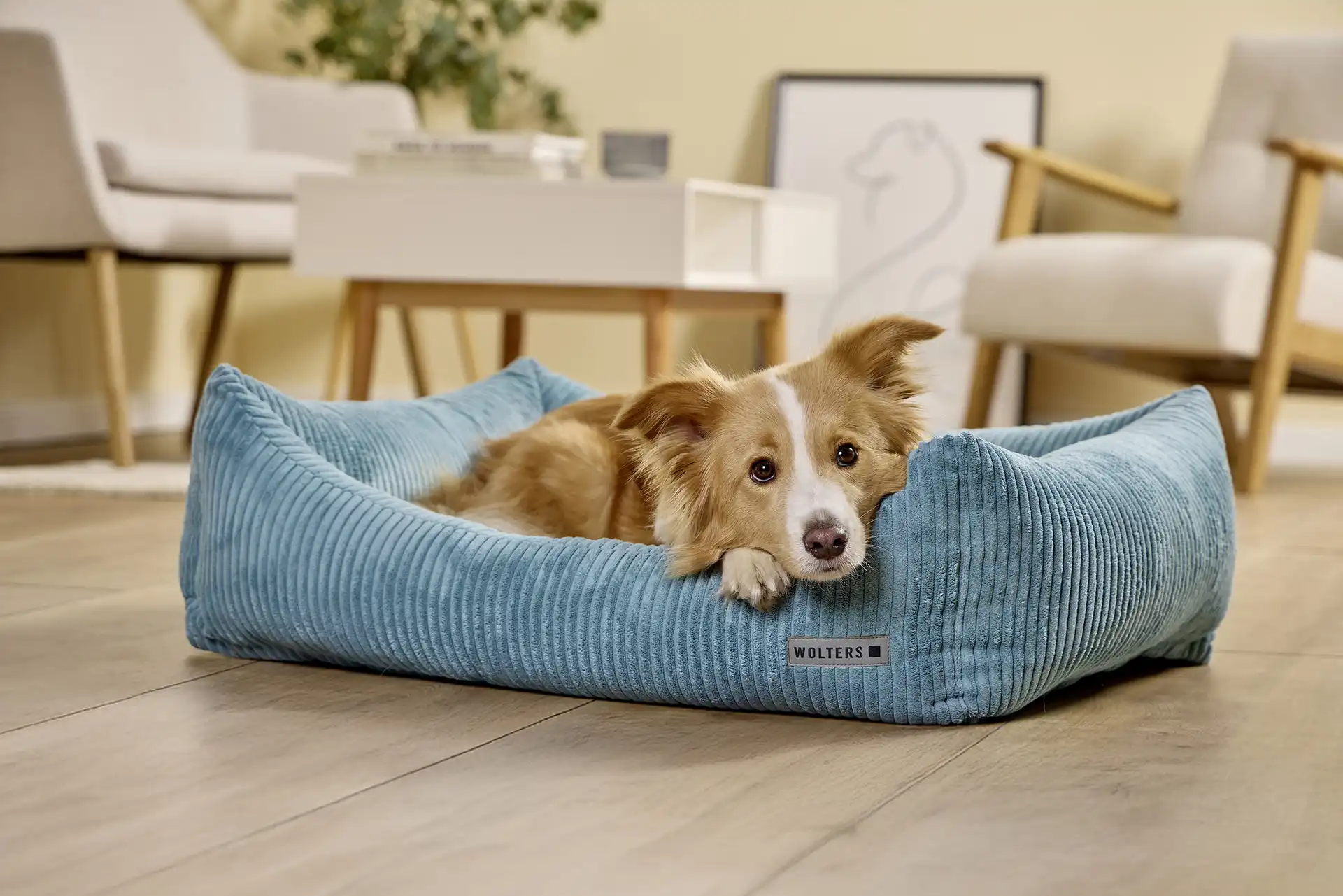 Titelseite -Karlie || KOCH Verkäufe WOLTERS Kilian Cord Lounge eisblau Mood 024